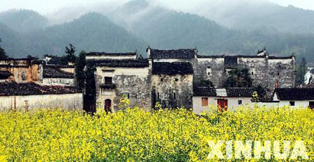 春天的婺源，田野间油菜花盛开，一片欣欣向荣景象，这是婺源县延村风景。